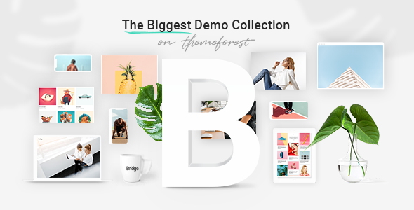 Bridge – Creative Multi-purpose WordPress Theme By QODE
 v30.3.1