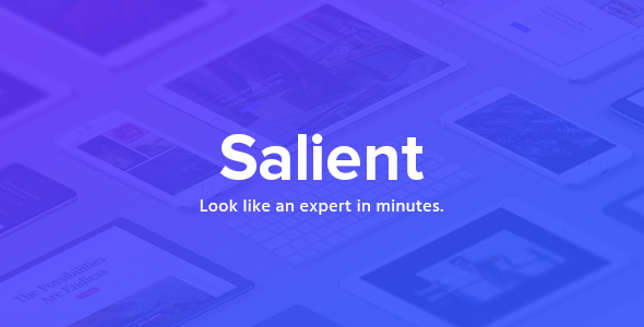 Salient | Creative Multipurpose & WooCommerce Theme
 v16.1.3