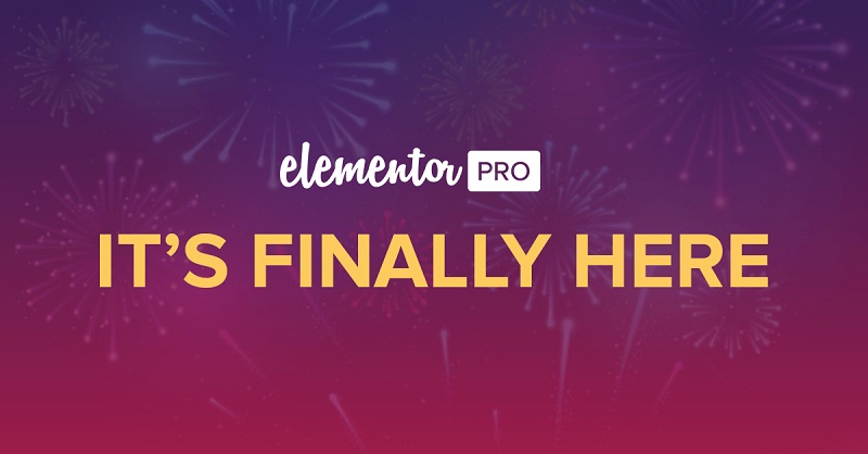 Elementor Pro | WordPress Websites Builder [Premium]
 v3.19.3