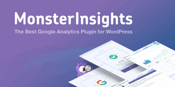 MonsterInsights – Google Analytics Plugin for WP
 v8.24.2 + Addons