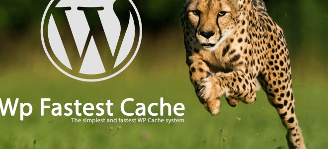 WP Fastest Cache Pro
 v1.7.0