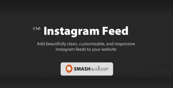 Custom Instagram Feed Pro Developer
 v6.3.5