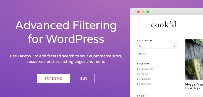 FacetWP – Advanced Filterings Plugin For WordPress
 v4.2.11 + Addons