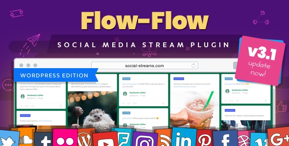 Social Stream for WordPress – Add Facebook Instagram Twitter Youtube Feed to WordPress Website  v4.9.5