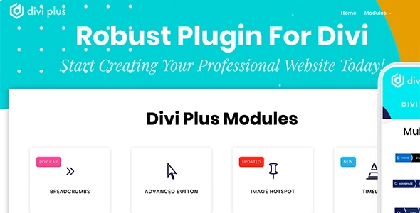 Divi Plus    1.11.0